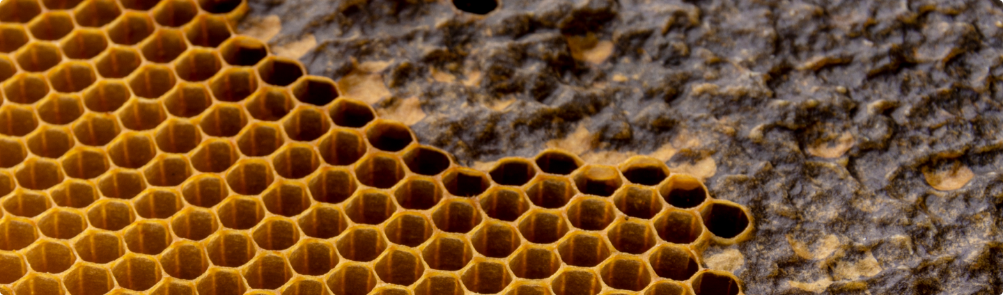 honeycomb pattern